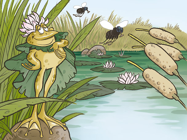 La granota i la princesa