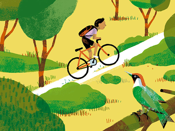 El camí per a tornar a casa