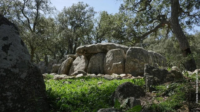 La cova d’en Daina