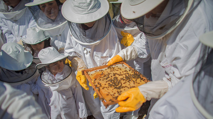 Muria Centre d’Interpretació Apícola
