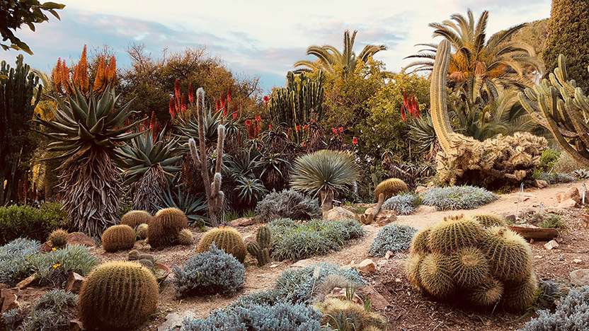 Jardí Botànic Marimurtra