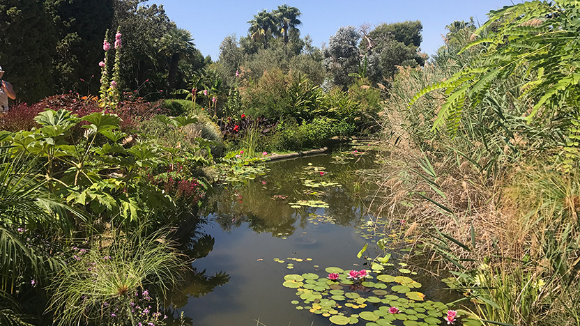 Jardí Botànic Marimurtra