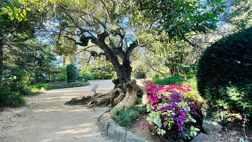 Jardí Botànic Marimurtra