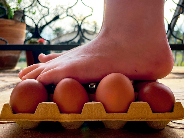 Ous que no es trenquen