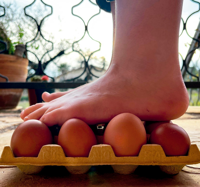 Ous que no es trenquen