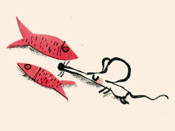 Demà sota el coixí