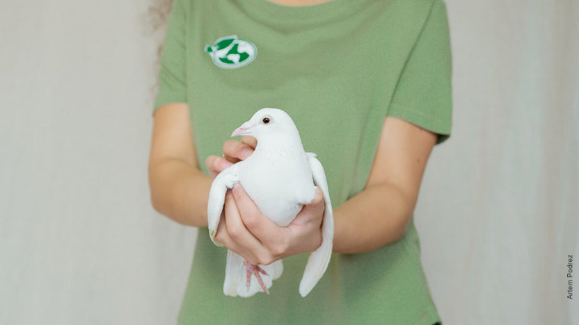 Què feu per la pau?